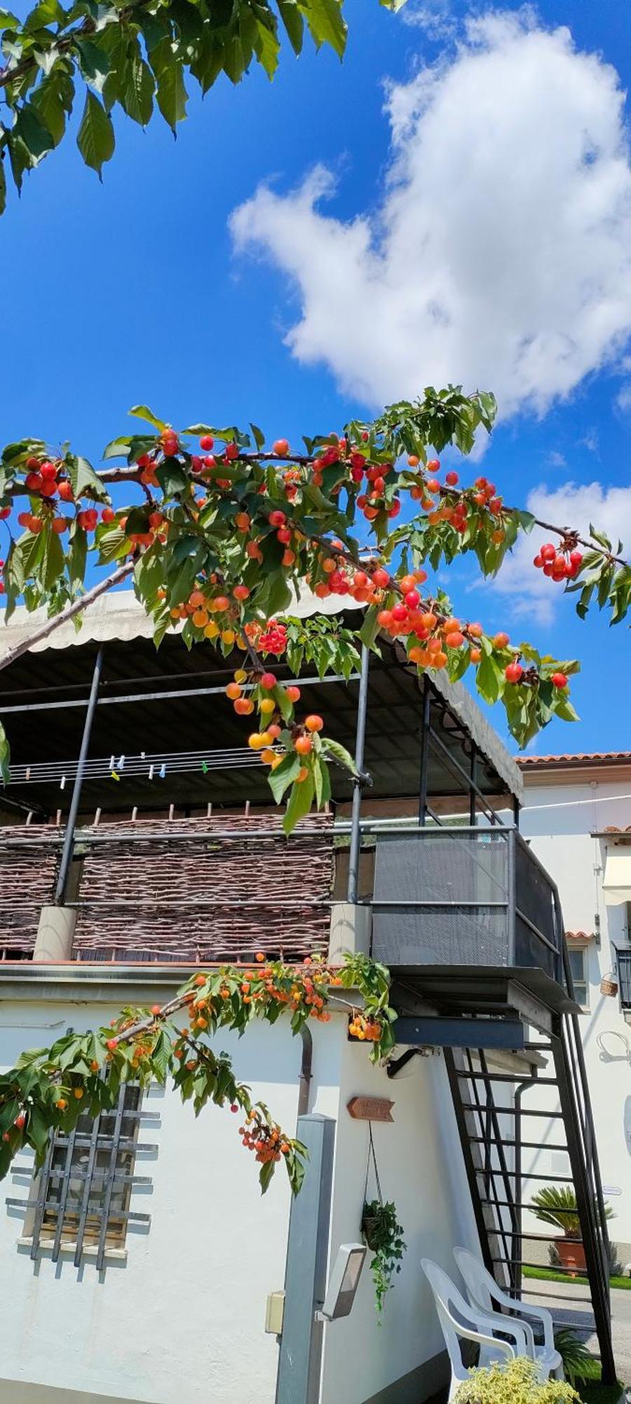 La Tenuta Di Eva Pisa Esterno foto