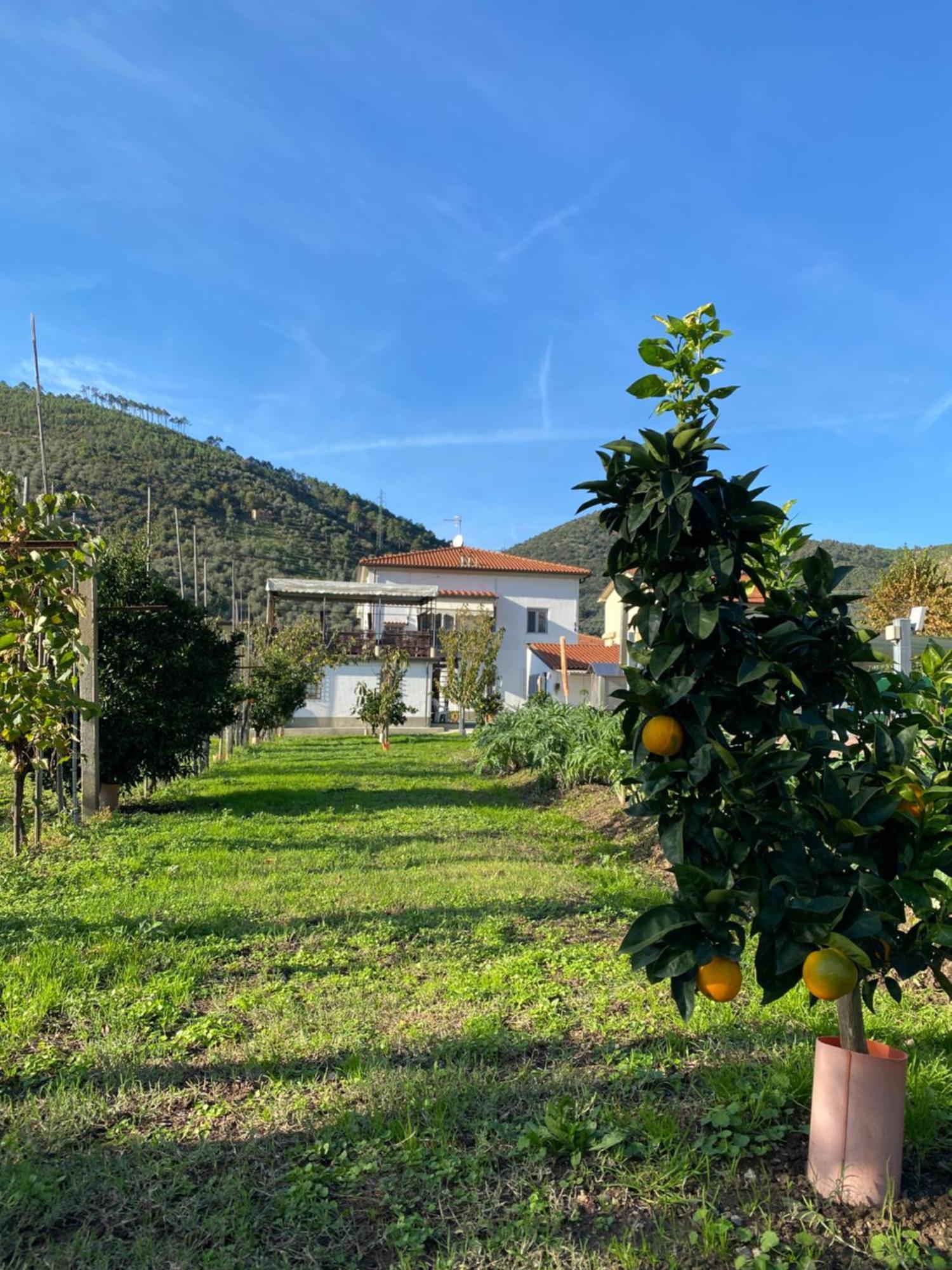 La Tenuta Di Eva Pisa Esterno foto