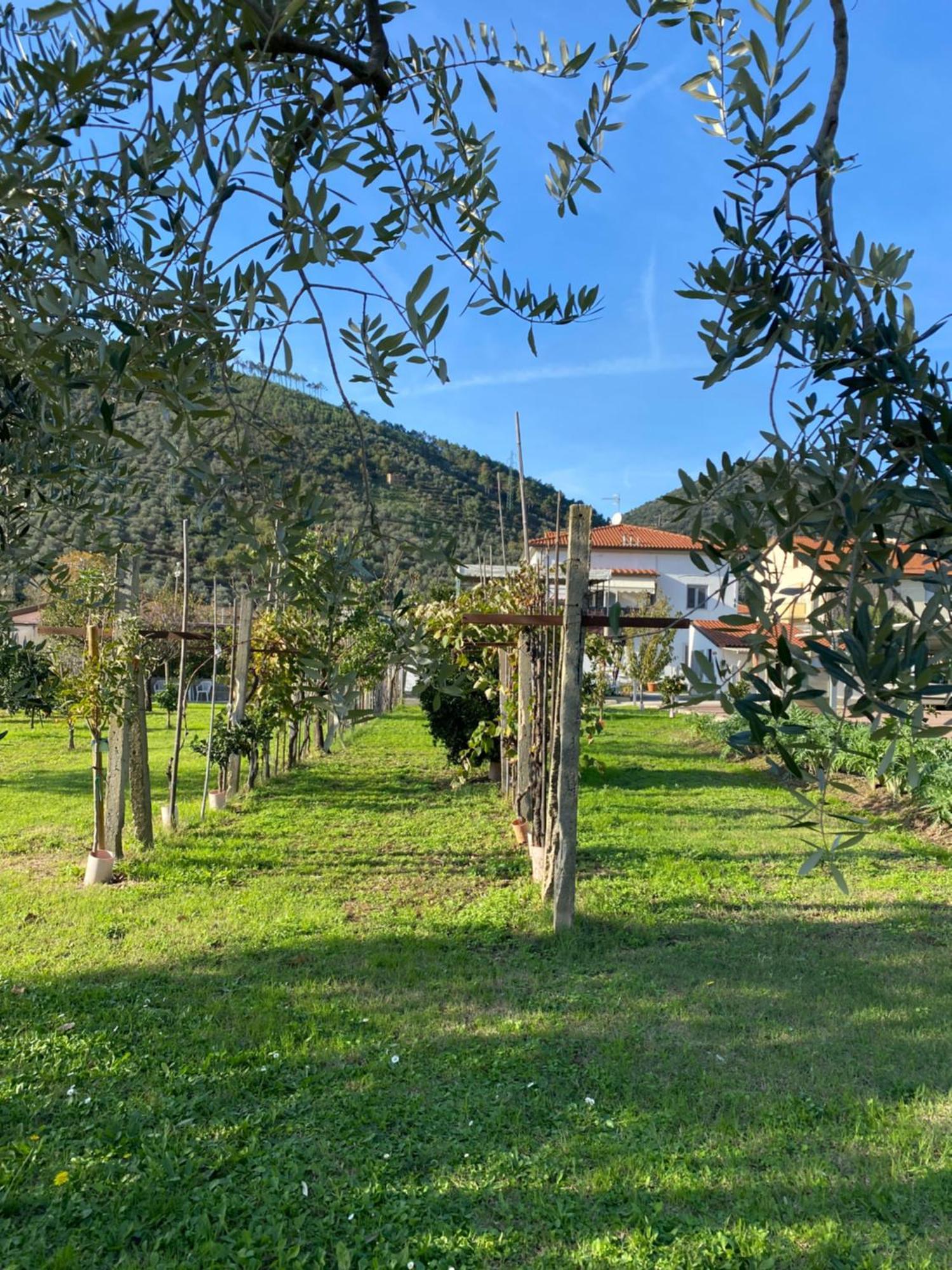 La Tenuta Di Eva Pisa Esterno foto