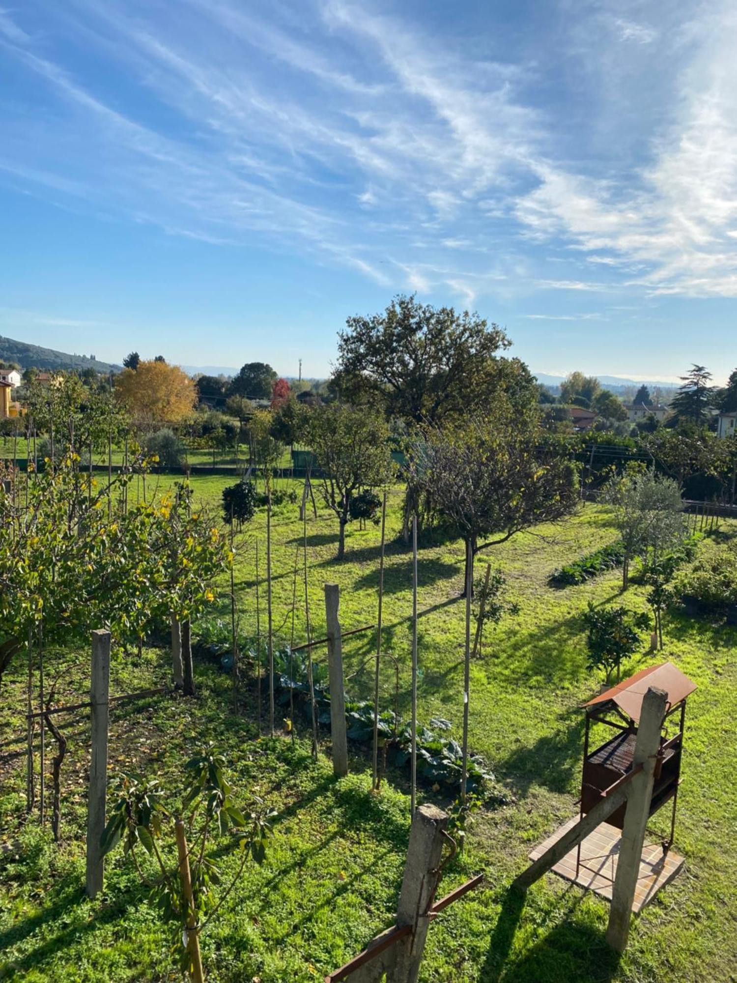 La Tenuta Di Eva Pisa Esterno foto