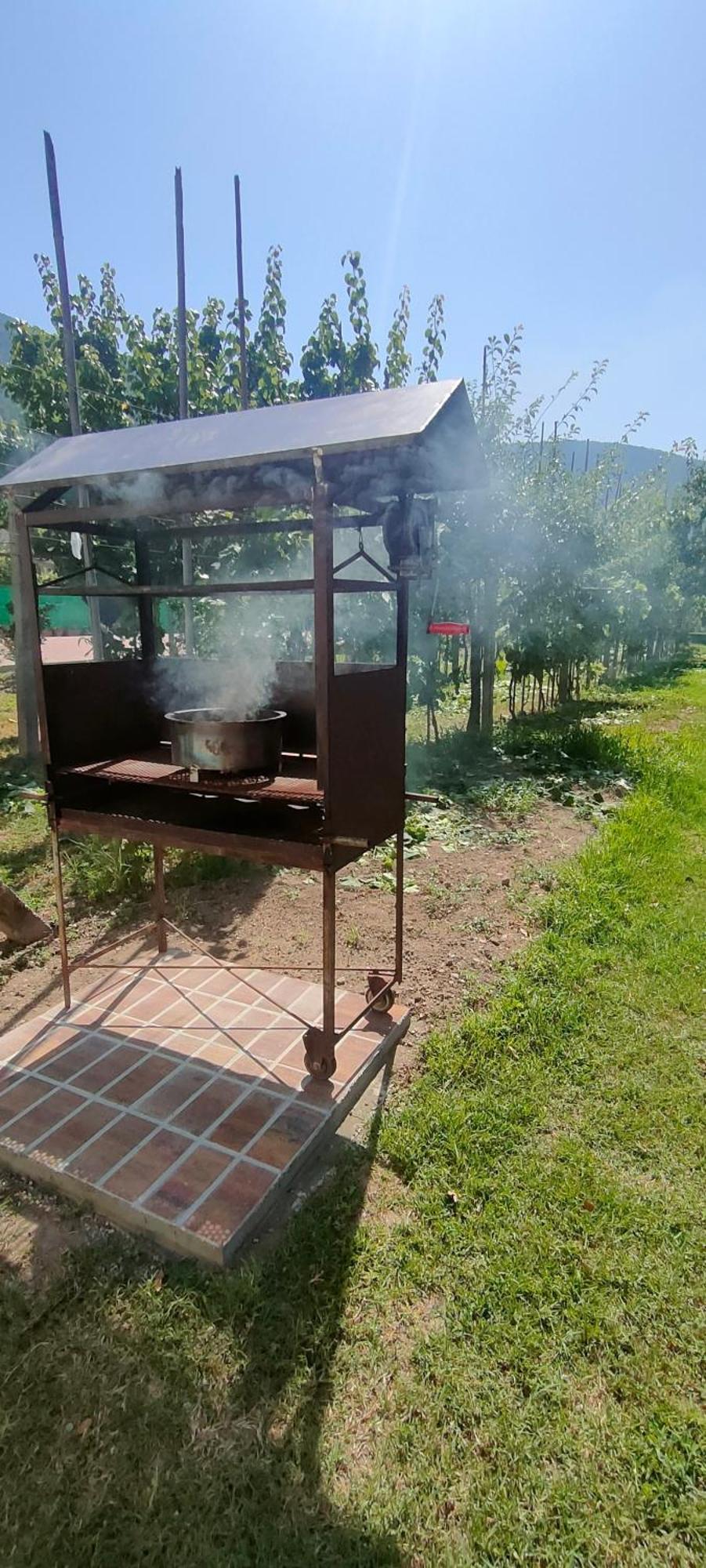 La Tenuta Di Eva Pisa Esterno foto