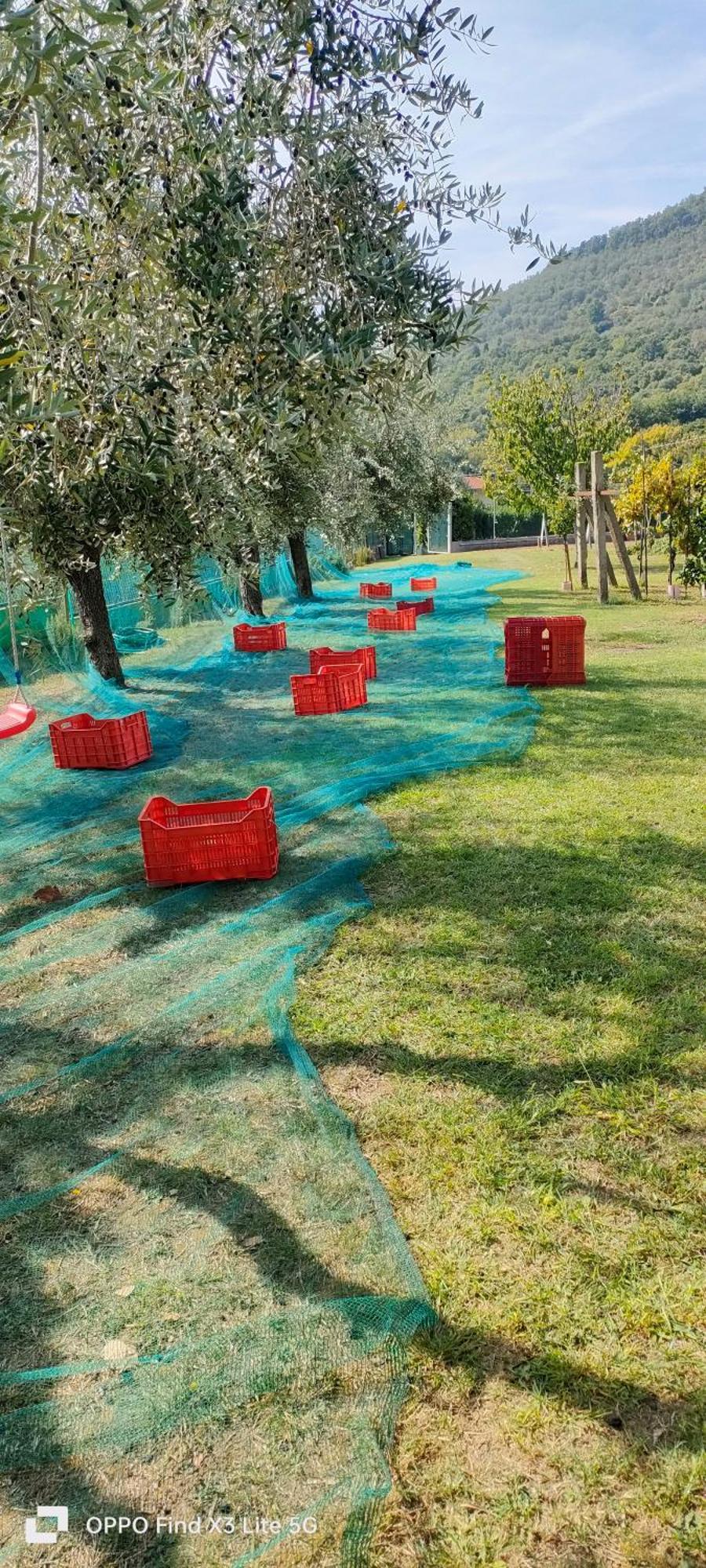 La Tenuta Di Eva Pisa Esterno foto
