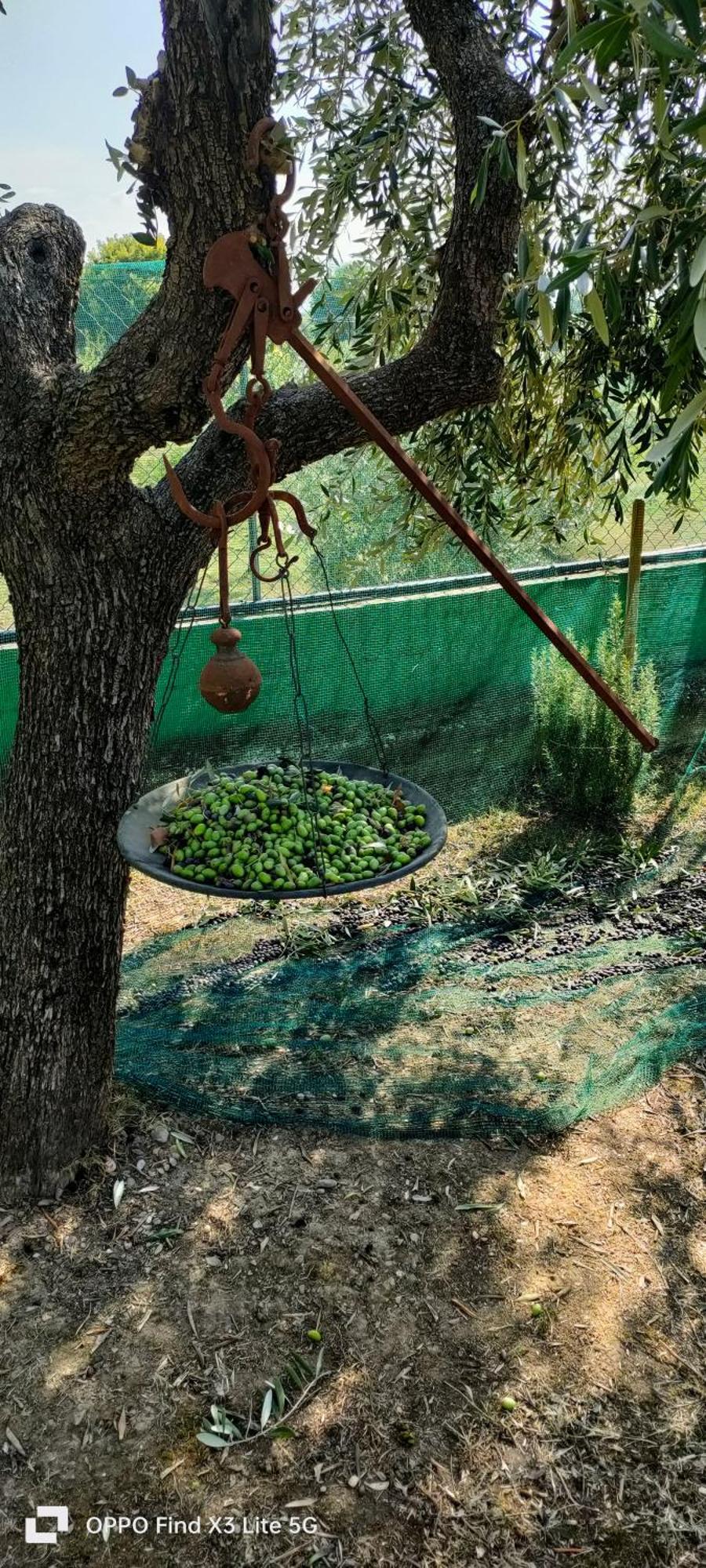 La Tenuta Di Eva Pisa Esterno foto